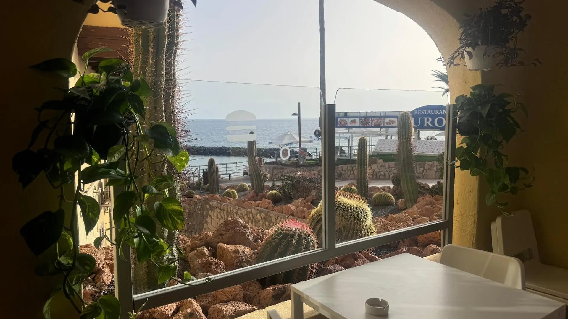 Las Americas Beach And Nightlife Apartment プラヤ・デ・ラス・アメリカス